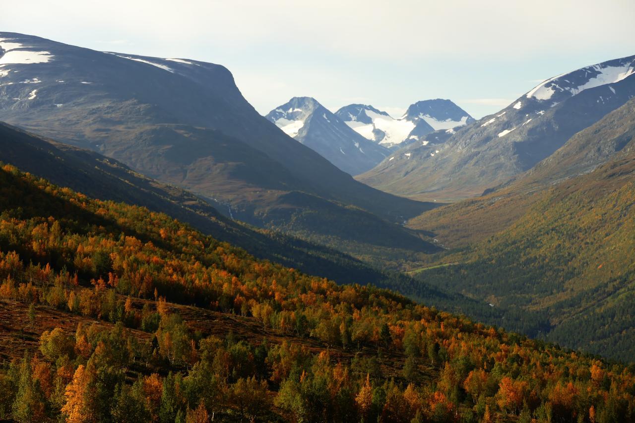 Vila Strind Gard, Visdalssetra Boverdalen Exteriér fotografie