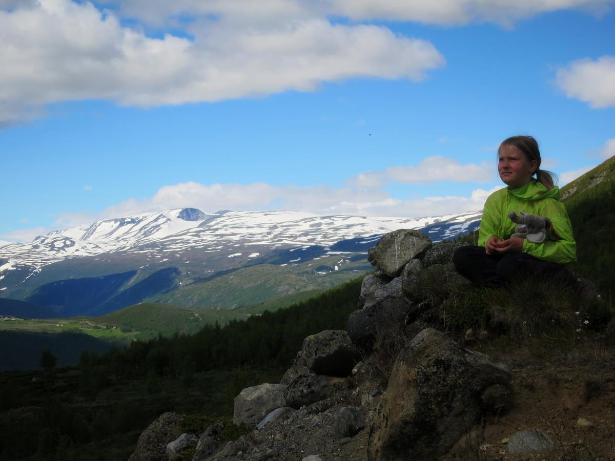 Vila Strind Gard, Visdalssetra Boverdalen Exteriér fotografie