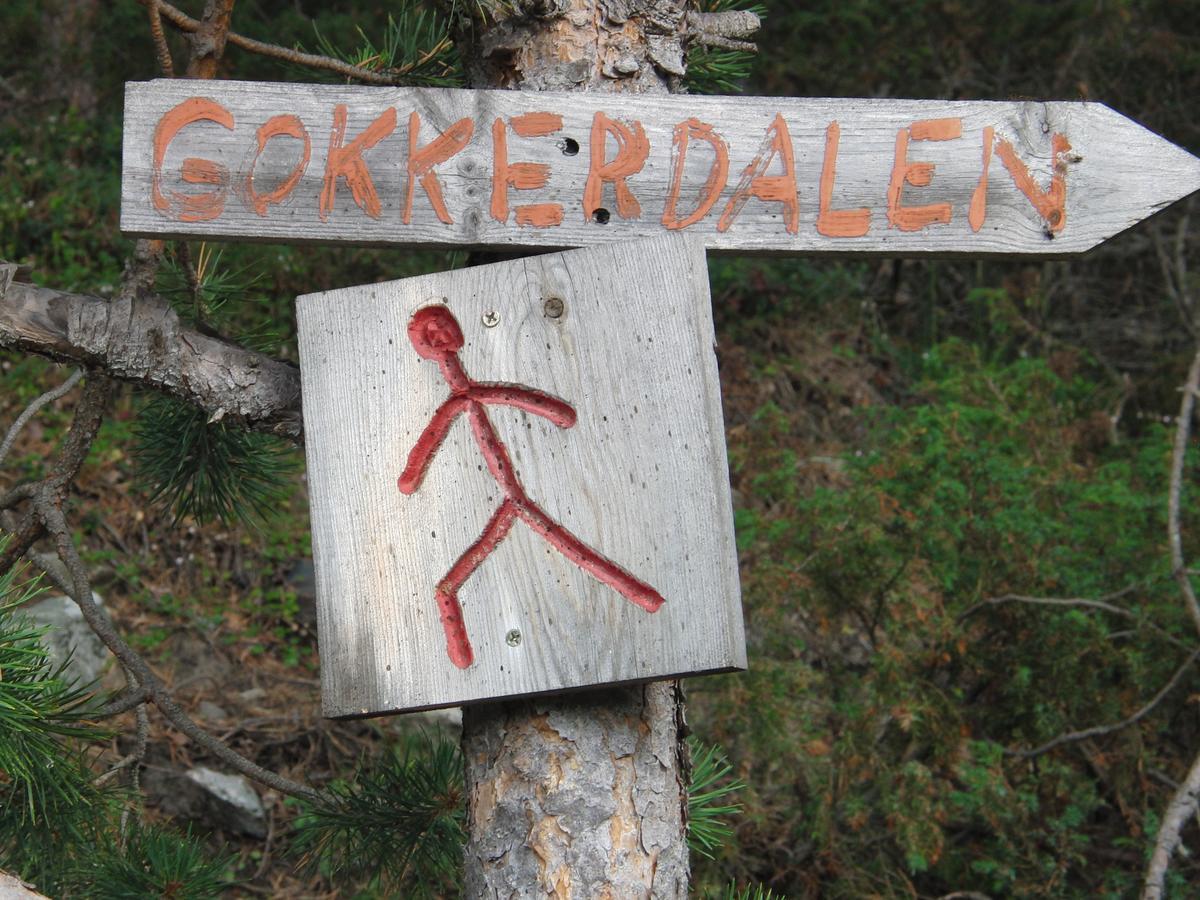 Vila Strind Gard, Visdalssetra Boverdalen Exteriér fotografie