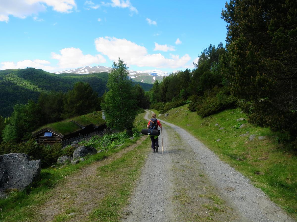 Vila Strind Gard, Visdalssetra Boverdalen Exteriér fotografie
