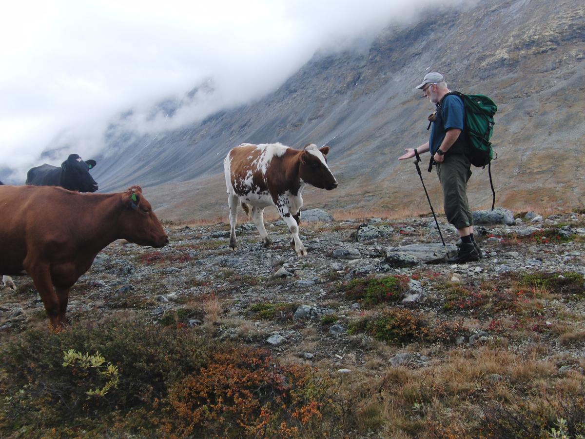Vila Strind Gard, Visdalssetra Boverdalen Exteriér fotografie